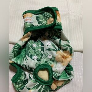 Dog Langsprit Washable Female Dog Diapers. Green Palms. Sz Medium. NEW